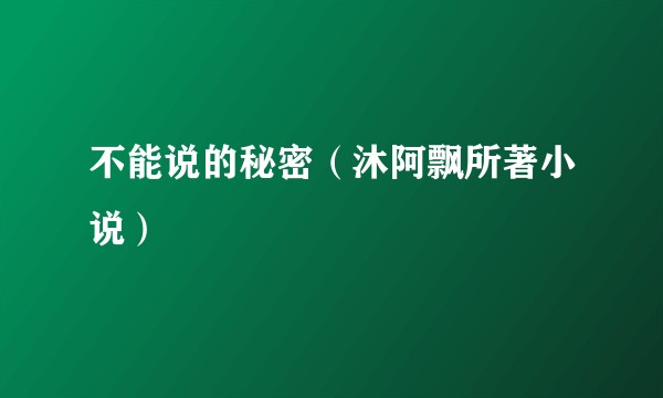 不能说的秘密（沐阿飘所著小说）