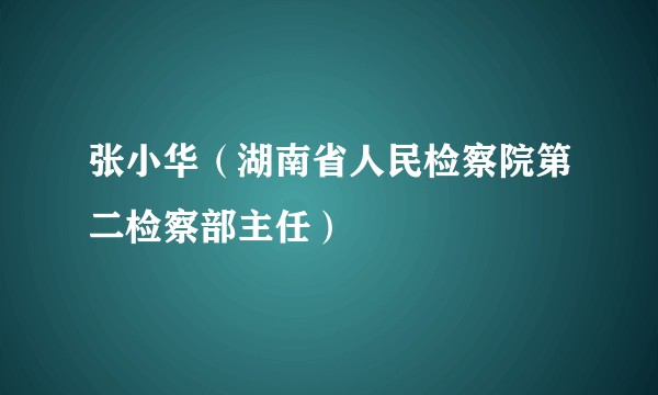 张小华(湖南省人民检察院第二检察部主任)