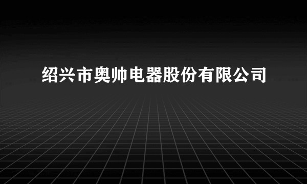 绍兴市奥帅电器股份有限公司
