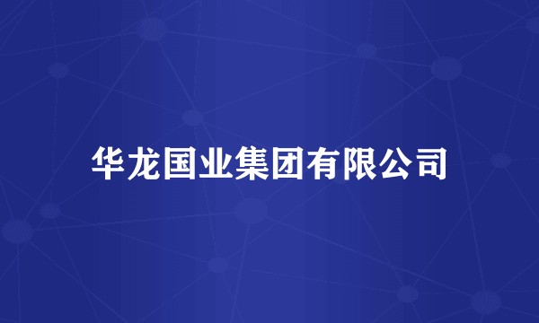 华龙国业集团有限公司