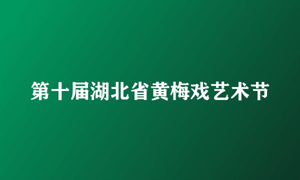 第十届湖北省黄梅戏艺术节
