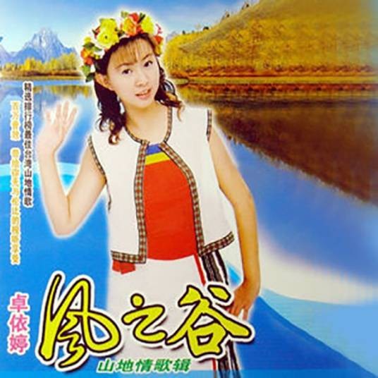 站在高岗上（卓依婷演唱的歌曲）