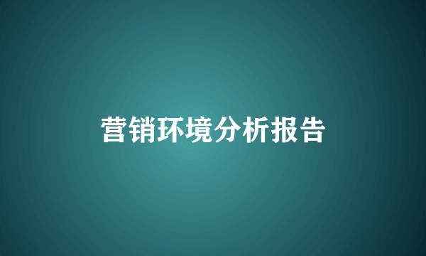 营销环境分析报告
