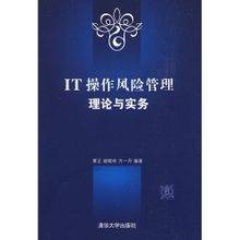 IT操作风险管理理论与实务
