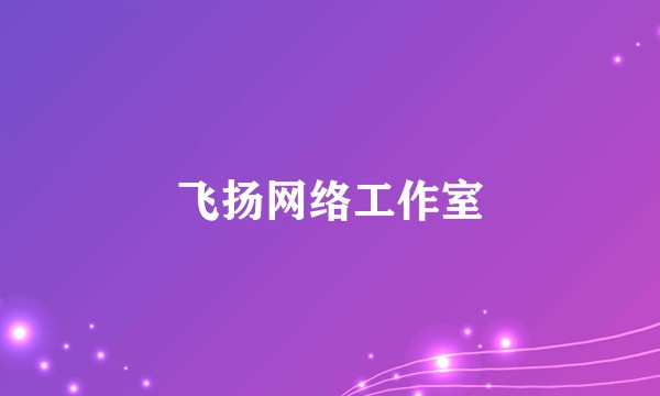 飞扬网络工作室