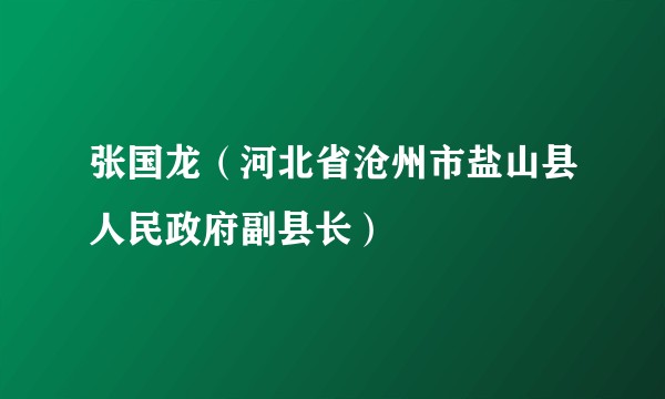 张国龙（河北省沧州市盐山县人民政府副县长）