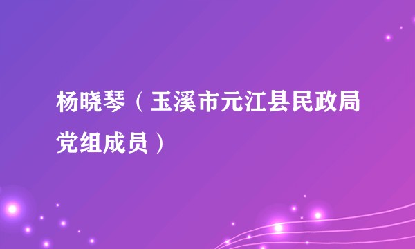 杨晓琴（玉溪市元江县民政局党组成员）