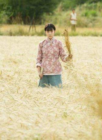 赵凤（电视剧《花儿与远方》中的角色）
