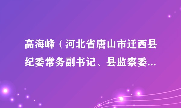 高海峰(河北省唐山市迁西县纪委常务副书记、县监察委员会副主任)