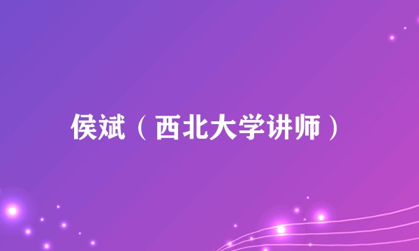 侯斌(西北大学讲师)