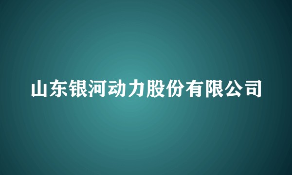 山东银河动力股份有限公司