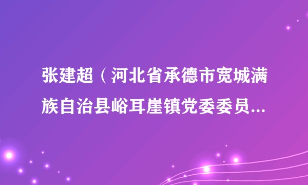 张建超（河北省承德市宽城满族自治县峪耳崖镇党委委员、人大主席）