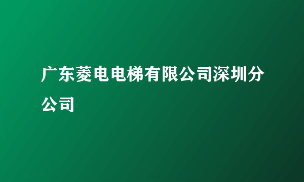 广东菱电电梯有限公司深圳分公司