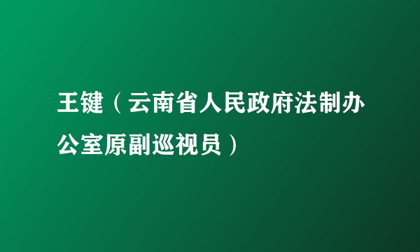 王键（云南省人民政府法制办公室原副巡视员）