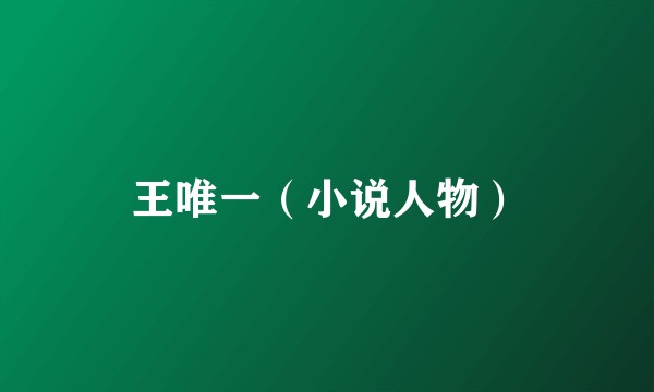 王唯一（小说人物）