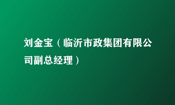 刘金宝（临沂市政集团有限公司副总经理）