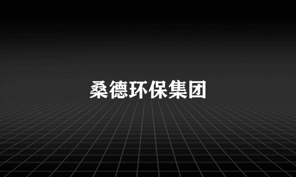 桑德环保集团