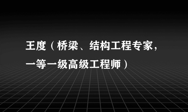 王度(桥梁、结构工程专家,一等一级高级工程师)