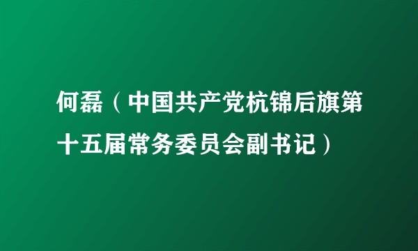 何磊（中国共产党杭锦后旗第十五届常务委员会副书记）