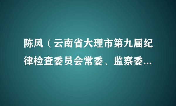陈凤(云南省大理市第九届纪律检查委员会常委、监察委员会委员)