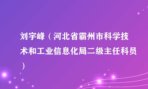 刘宇峰（河北省霸州市科学技术和工业信息化局二级主任科员）