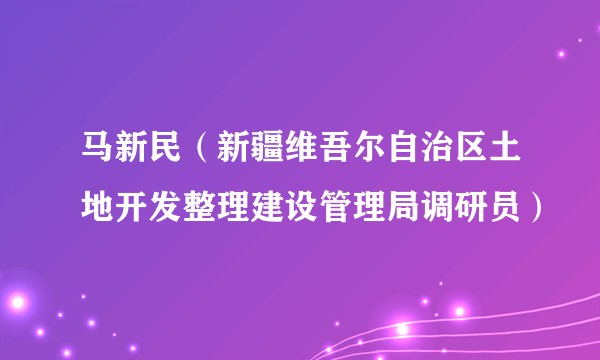 马新民（新疆维吾尔自治区土地开发整理建设管理局调研员）