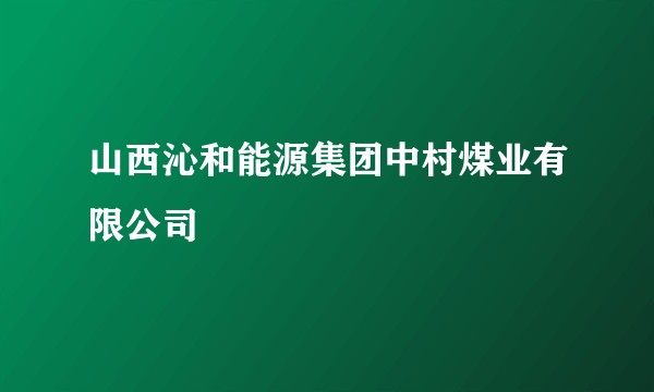 山西沁和能源集团中村煤业有限公司
