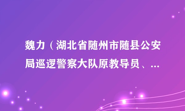 魏力(湖北省随州市随县公安局巡逻警察大队原教导员、警务督察大队原大队长)