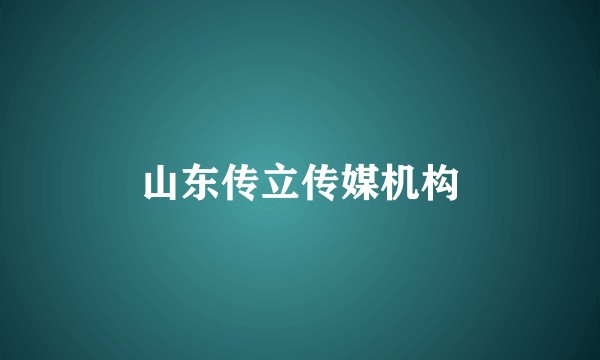 山东传立传媒机构