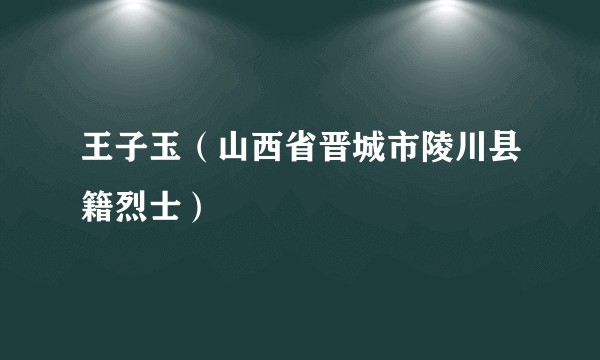 王子玉（山西省晋城市陵川县籍烈士）