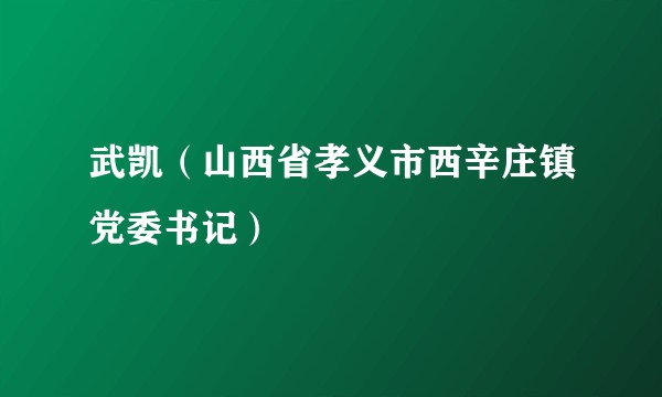武凯（山西省孝义市西辛庄镇党委书记）