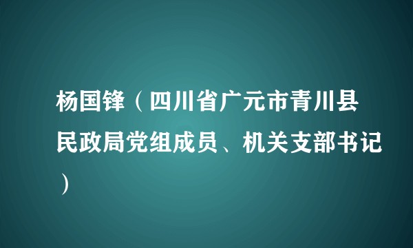 杨国锋(四川省广元市青川县民政局党组成员、机关支部书记)