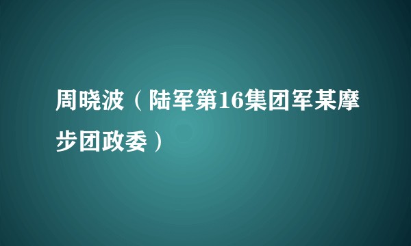 周晓波（陆军第16集团军某摩步团政委）