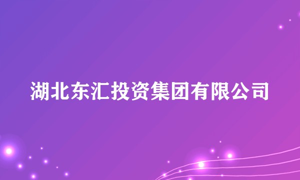 湖北东汇投资集团有限公司