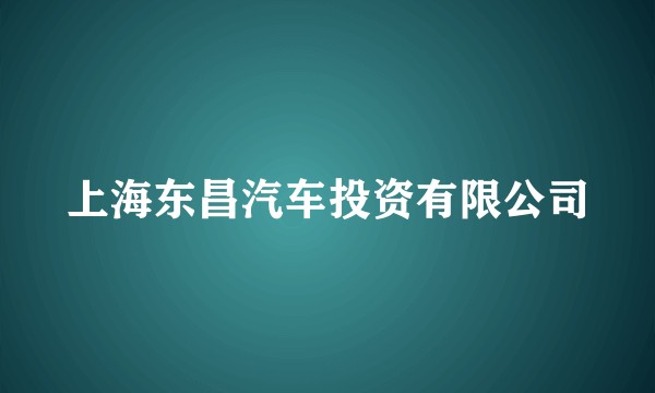 上海东昌汽车投资有限公司