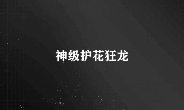 神级护花狂龙