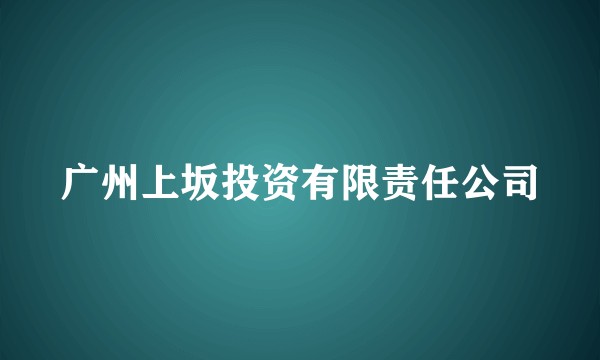 广州上坂投资有限责任公司