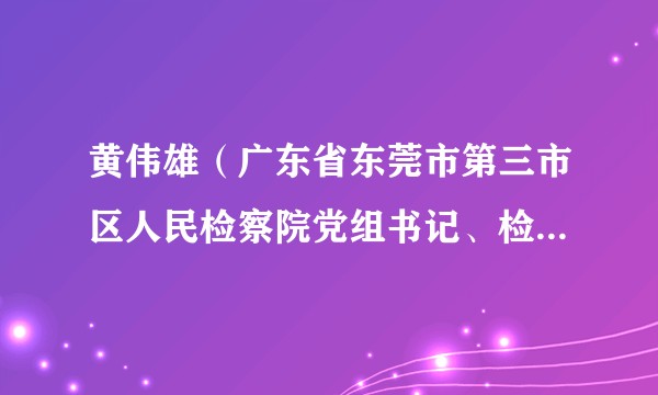黄伟雄（广东省东莞市第三市区人民检察院党组书记、检察长、检察委员会委员、检察员）