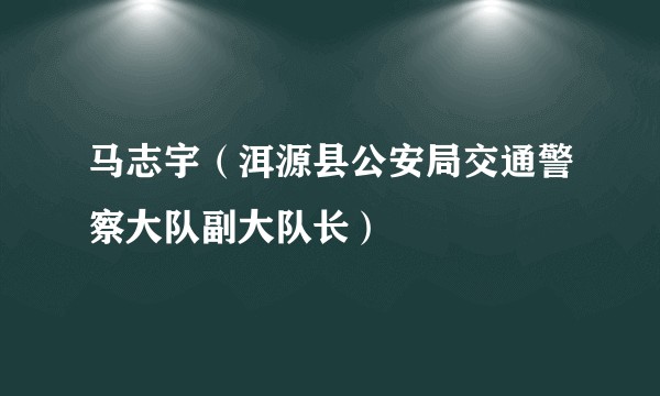 马志宇(洱源县公安局交通警察大队副大队长)