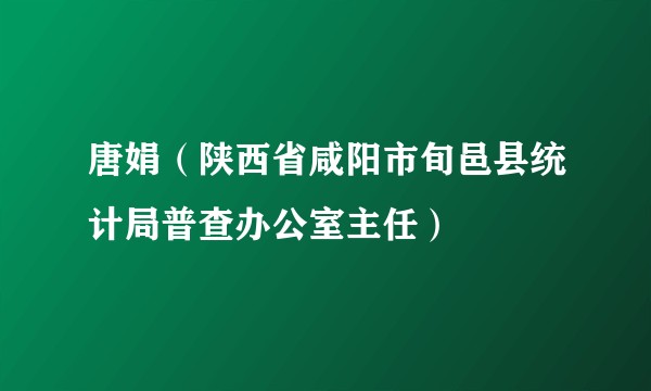 唐娟（陕西省咸阳市旬邑县统计局普查办公室主任）