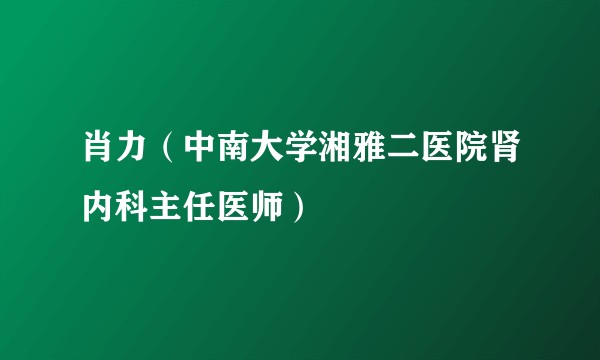 肖力（中南大学湘雅二医院肾内科主任医师）