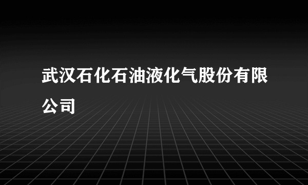 武汉石化石油液化气股份有限公司