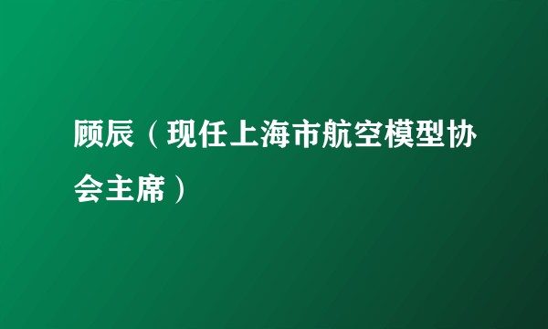 顾辰（现任上海市航空模型协会主席）