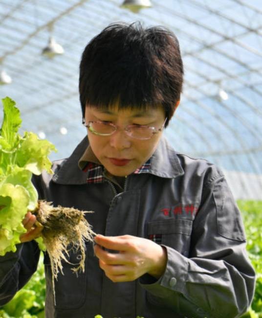 刘晓君(天津百利种苗培育有限公司育苗车间组长)
