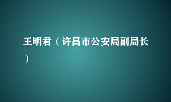王明君（许昌市公安局副局长）