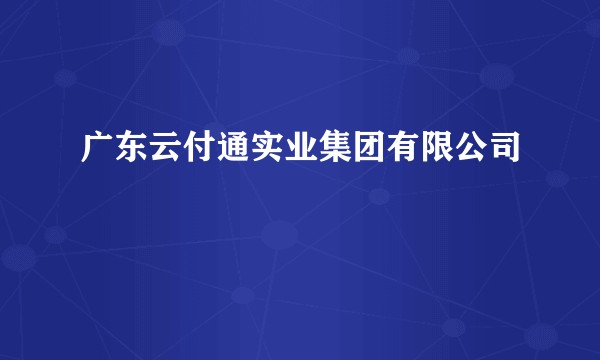 广东云付通实业集团有限公司