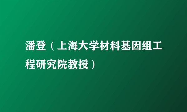 潘登（上海大学材料基因组工程研究院教授）