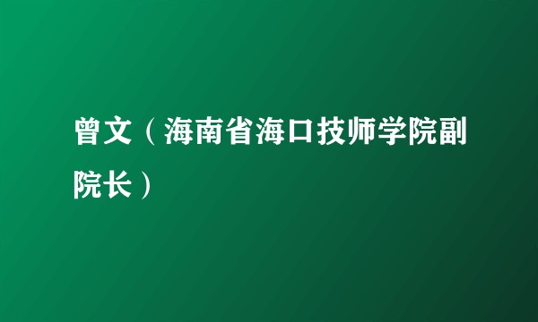 曾文（海南省海口技师学院副院长）