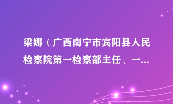 梁娜（广西南宁市宾阳县人民检察院第一检察部主任、一级检察官）