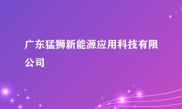 广东猛狮新能源应用科技有限公司